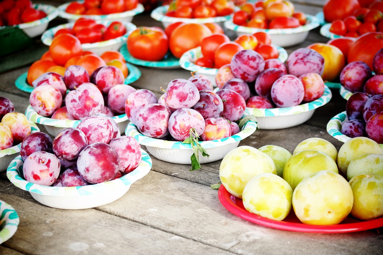 Guide to Growing an Organic Vegetable Garden